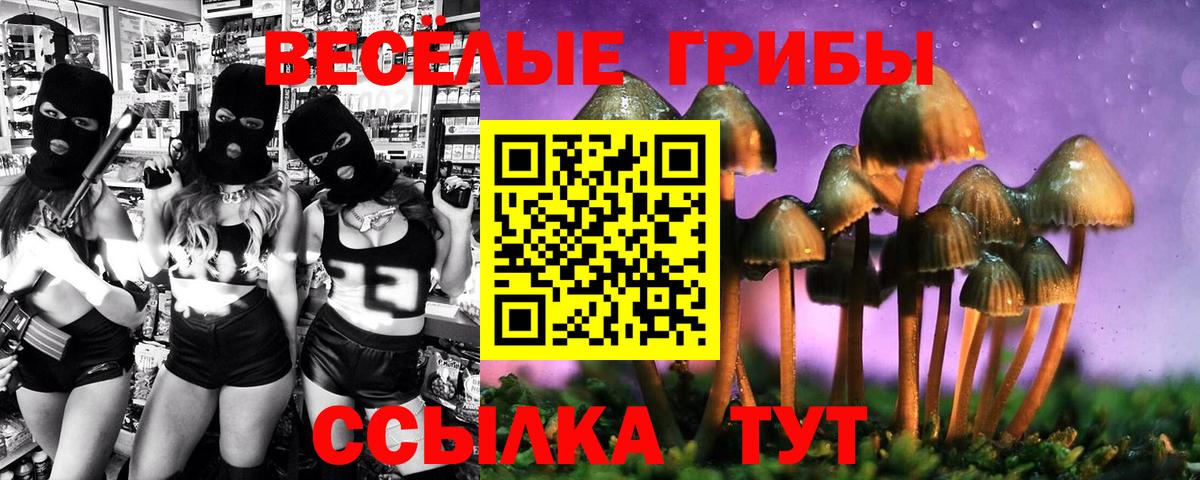 Галлюциногенные грибы Magic Shrooms  Псилоцибиновые грибы GOLDEN TEACHER  Вход с VPN  Касимов 
